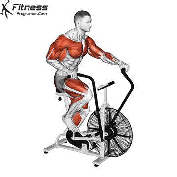 Air bike / assault bike