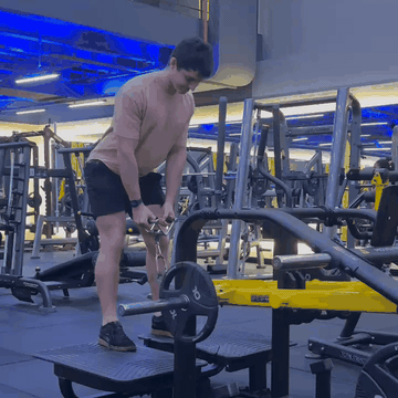Belt squat / máquina de stiff ou sumô