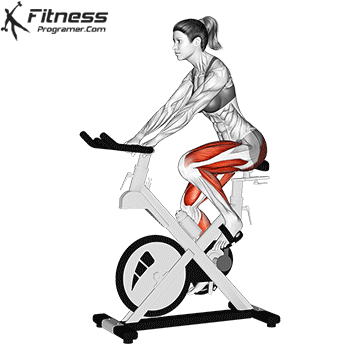 Bicicleta ergométrica
