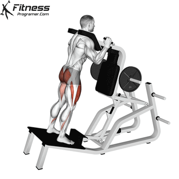 Hack squat / hack linear