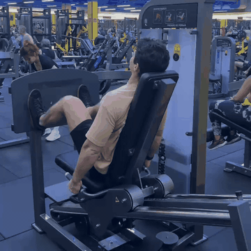 Leg press horizontal